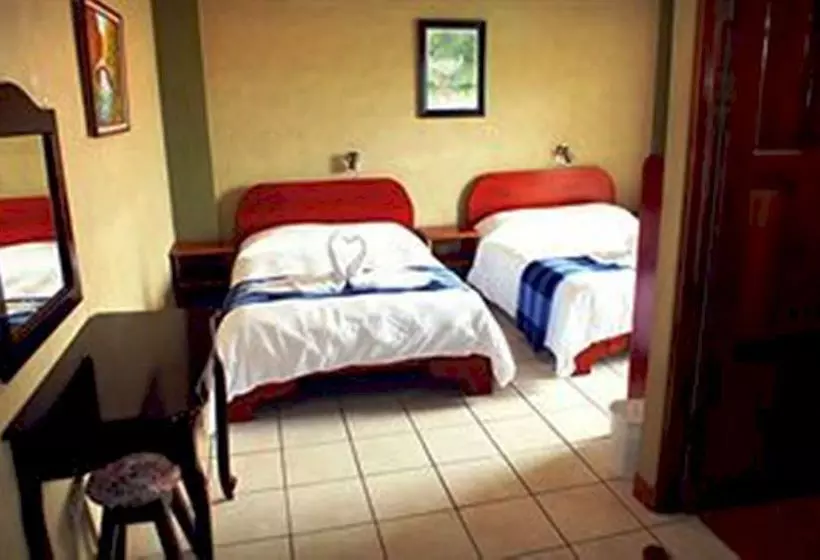 酒店 Arenal Bromelias