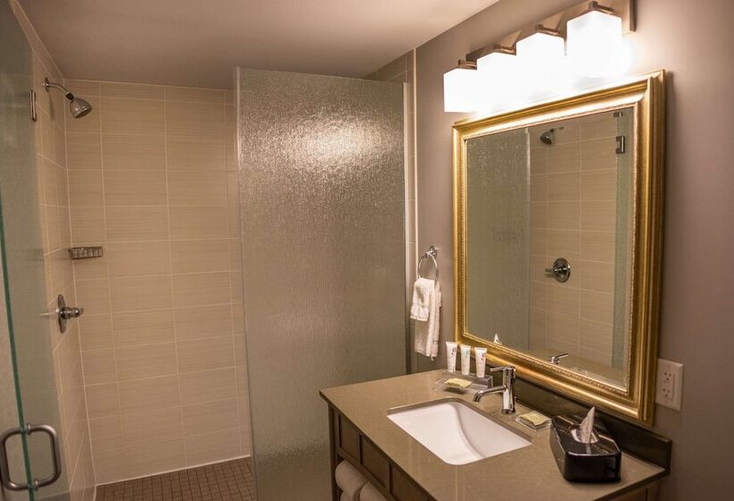 בית מלון כפרי Country Inn & Suites By Radisson, Bemidji, Mn