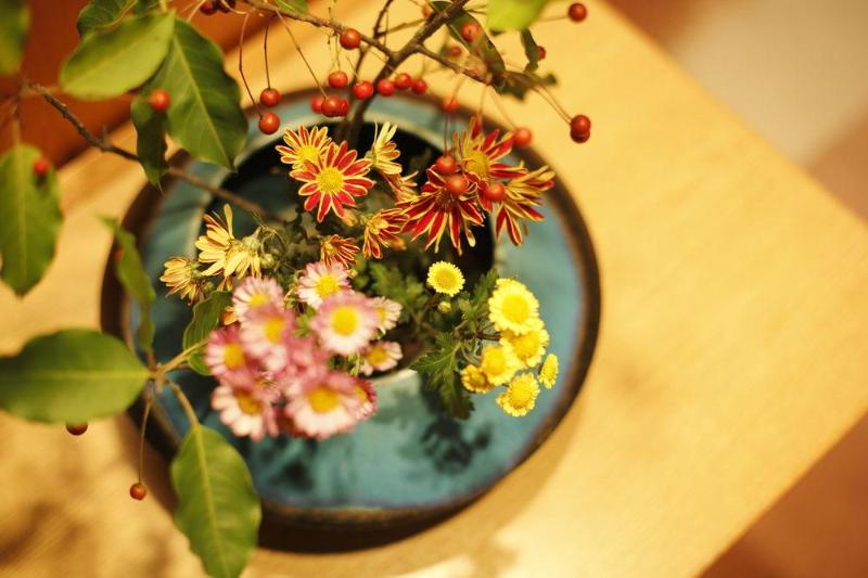 בית מלון כפרי Hatori