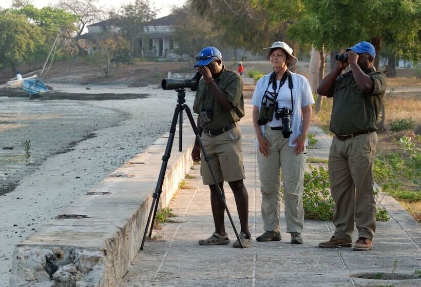 فندق Ibo Island Lodge
