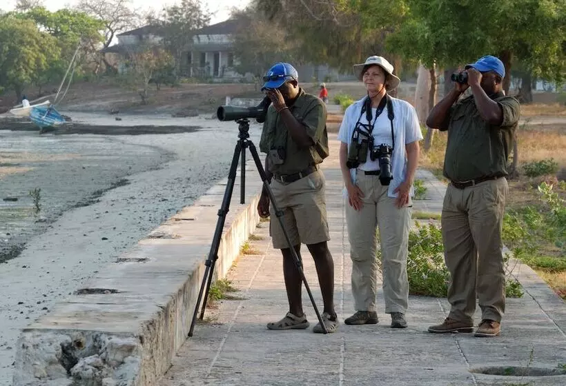 בית מלון כפרי Ibo Island Lodge