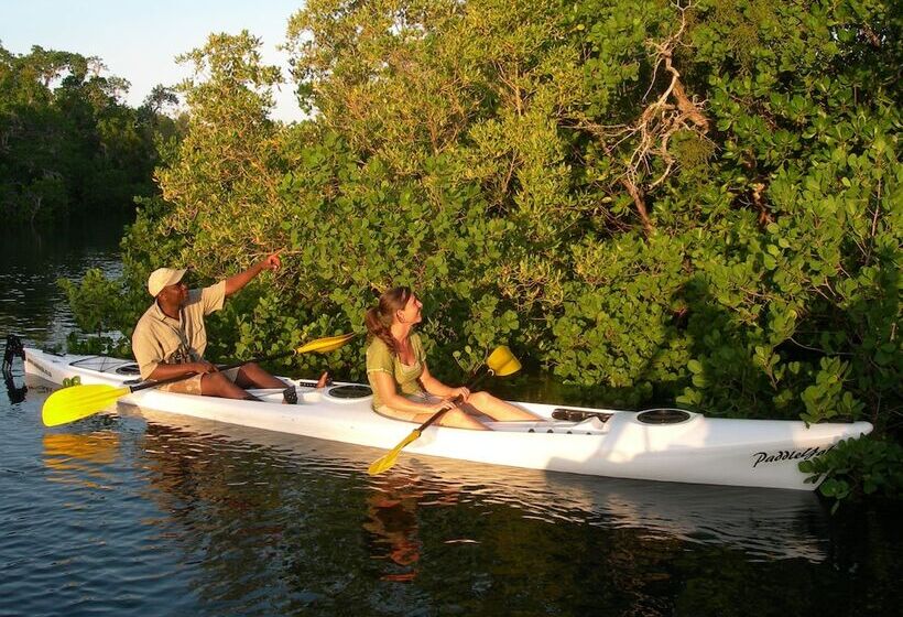 فندق Ibo Island Lodge