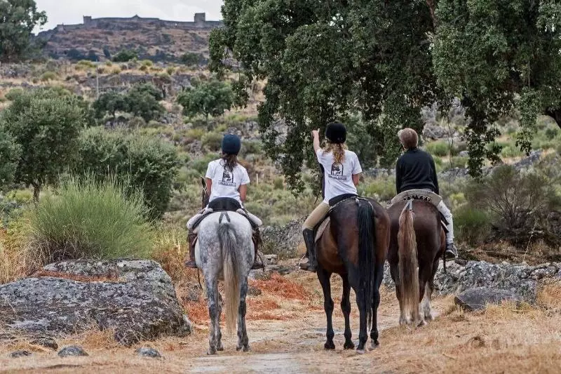 בית מלון כפרי Sever Rio