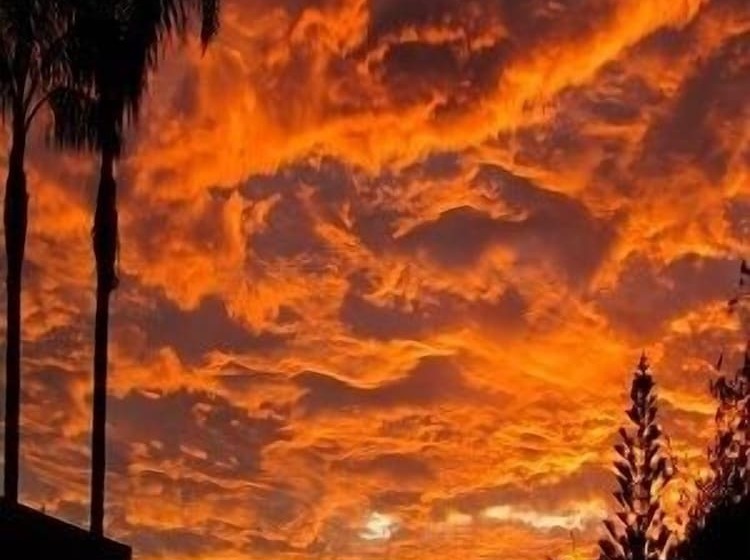 Merimbula Beach Apartments