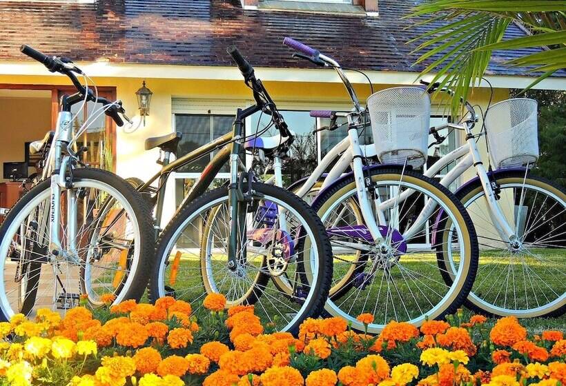 Petit Chateau Hotel Boutique