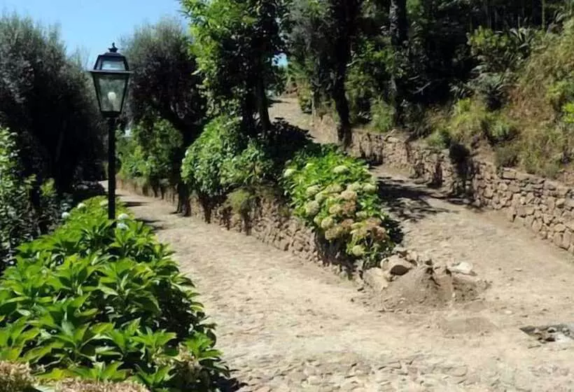 Quinta Das Escomoeiras