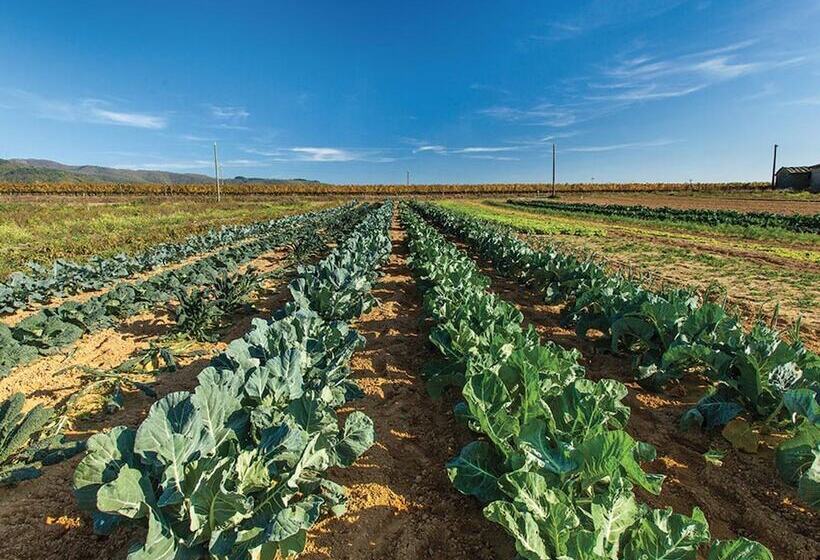 渡假胜地  Il Borro Relais & Chateaux