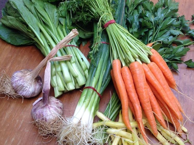 Richmond Cottages Tasmania