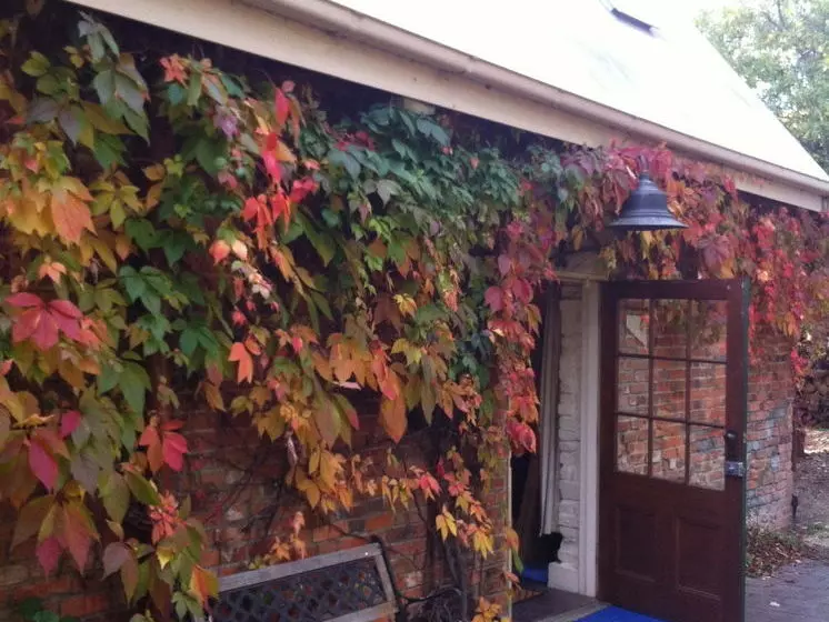 Richmond Cottages Tasmania