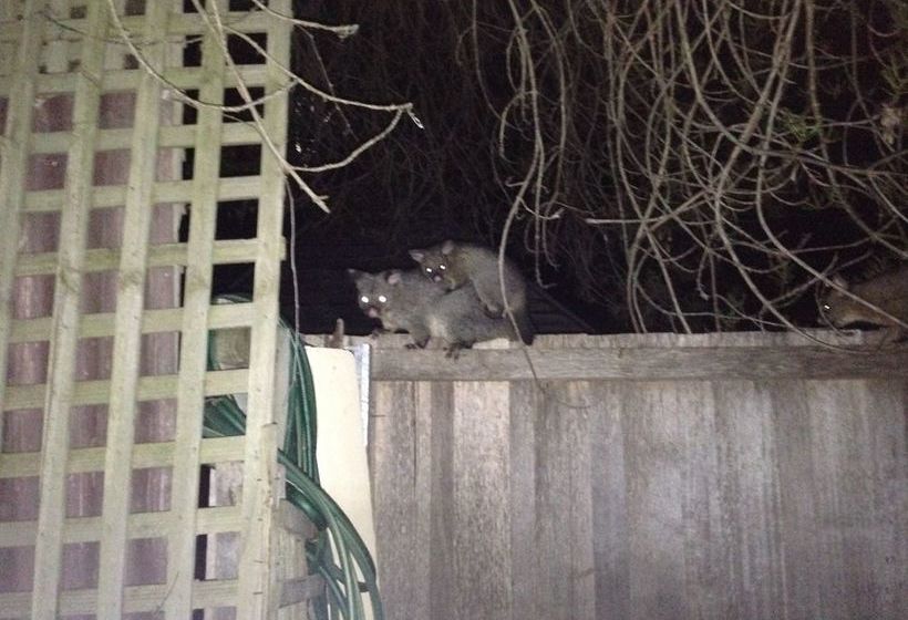 Richmond Cottages Tasmania