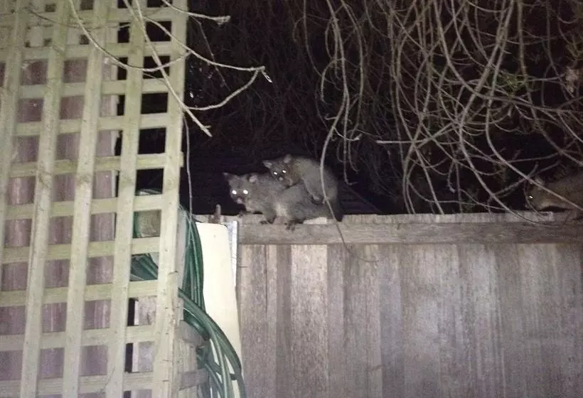 Richmond Cottages Tasmania