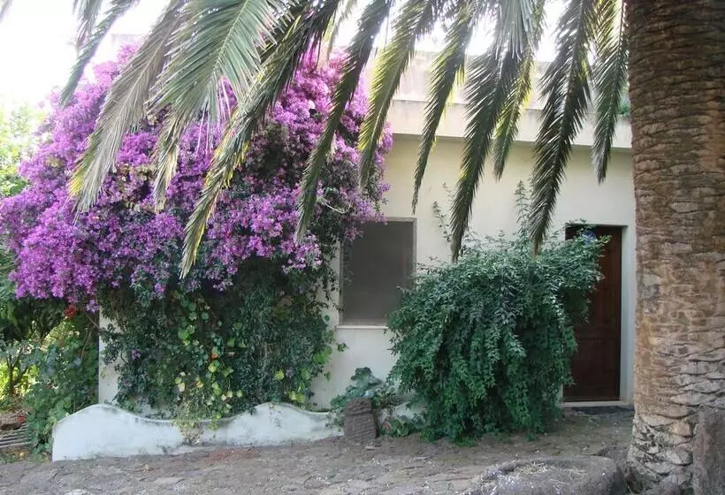 Agriturismo Su Tiresi