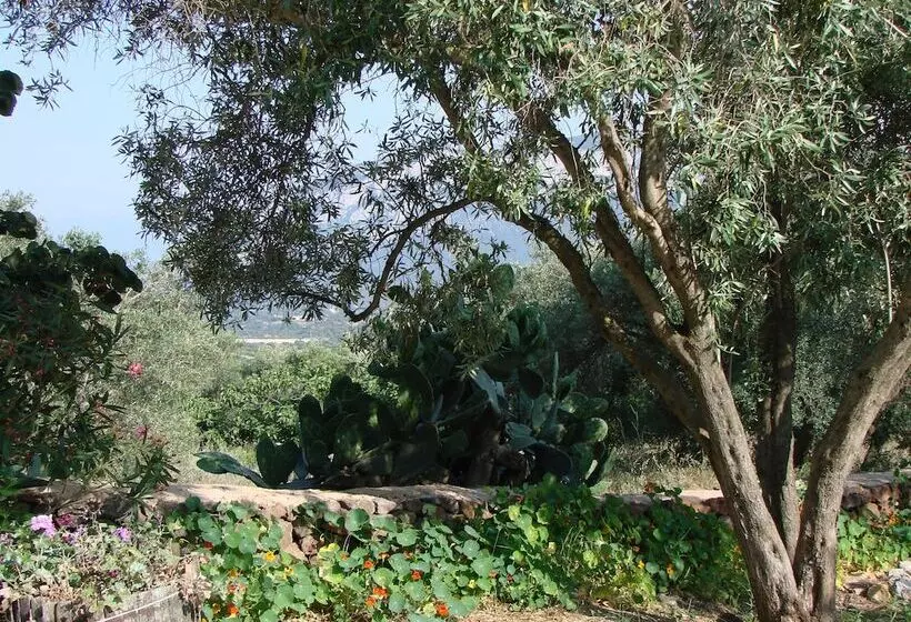 Agriturismo Su Tiresi