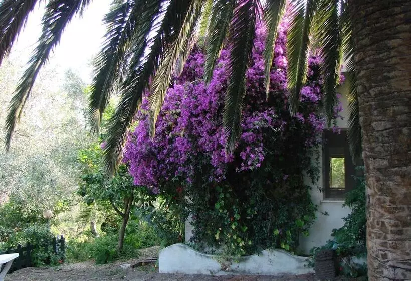 Agriturismo Su Tiresi