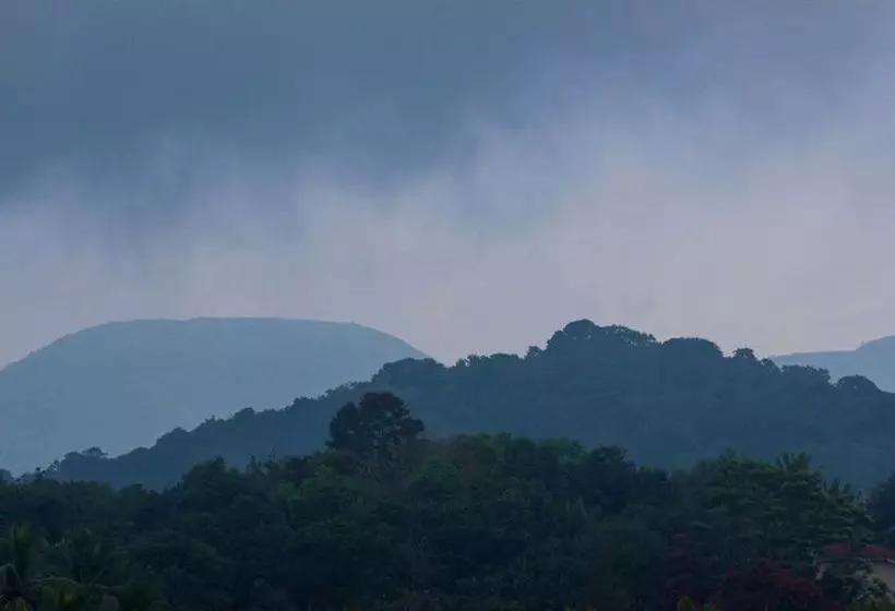 호스텔 Vedanta Wake Up!