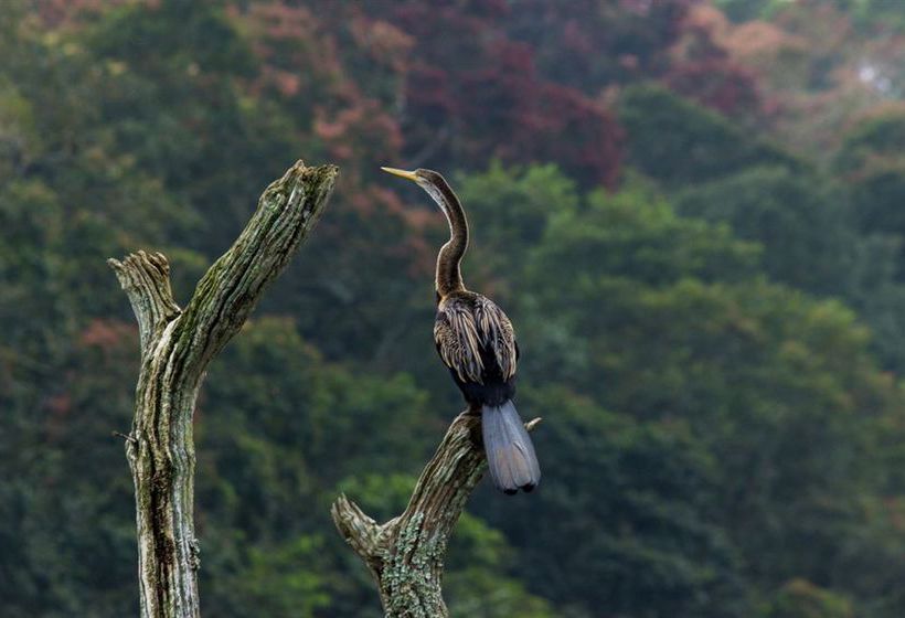 فندق صغير Vedanta Wake Up!