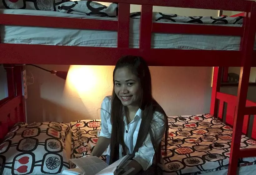 Green Kiwi Backpacker Hostel Lavender