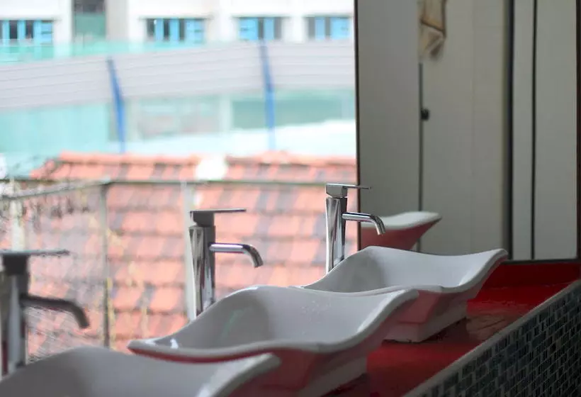 Green Kiwi Backpacker Hostel Lavender