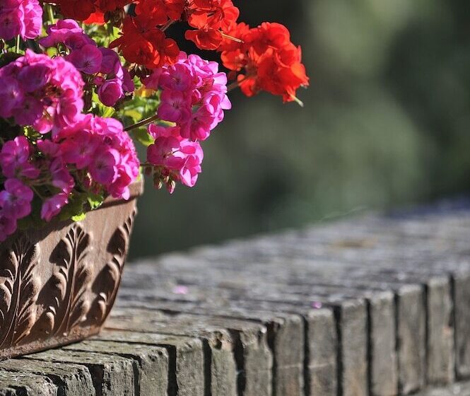 فندق Albergo Diffuso Borgo Montemaggiore