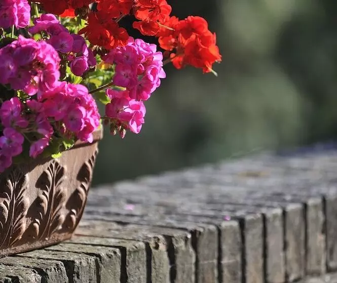 Hotel Albergo Diffuso Borgo Montemaggiore