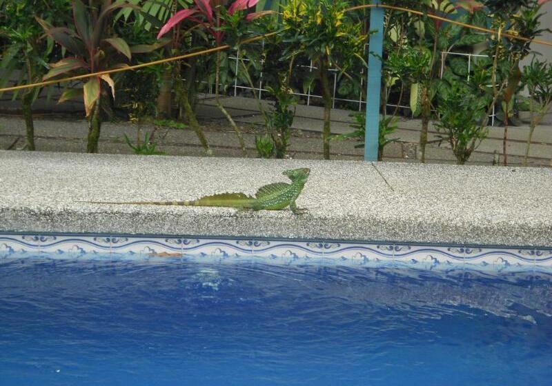 هتل Arenal Rabfer