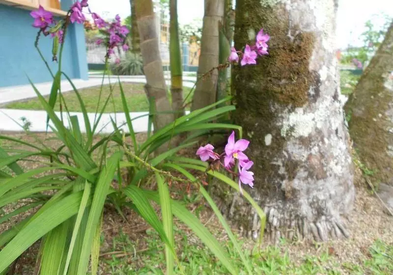 Hôtel Arenal Rabfer