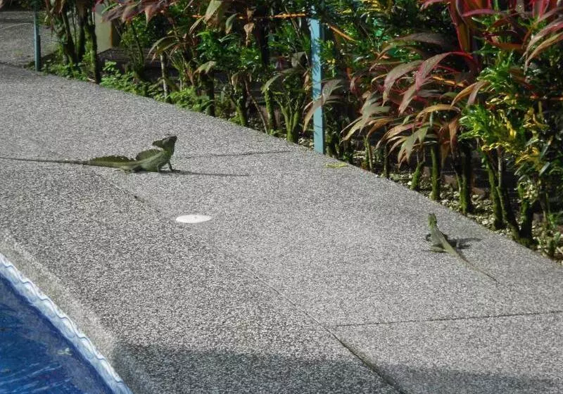 Hôtel Arenal Rabfer