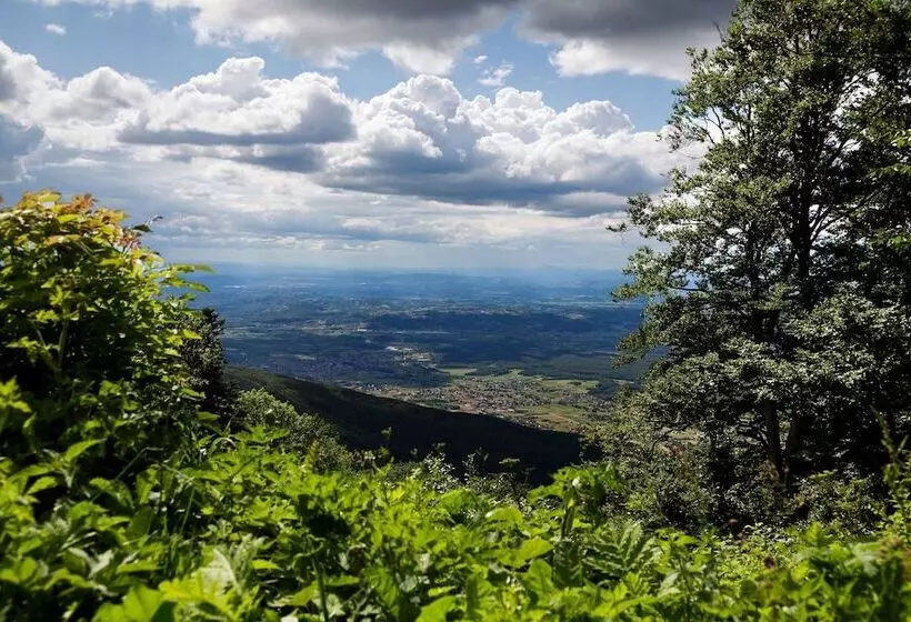 호텔 Tomislavov Dom