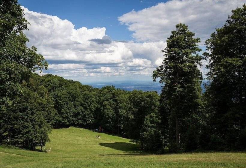 בית מלון כפרי Tomislavov Dom