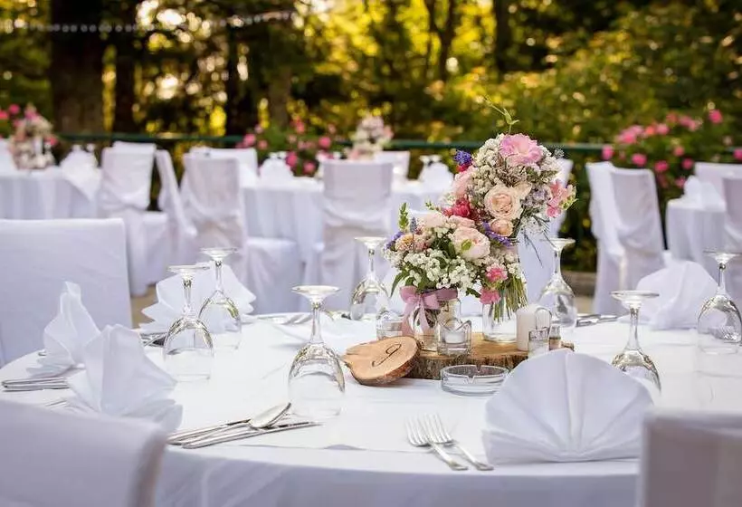 호텔 Tomislavov Dom