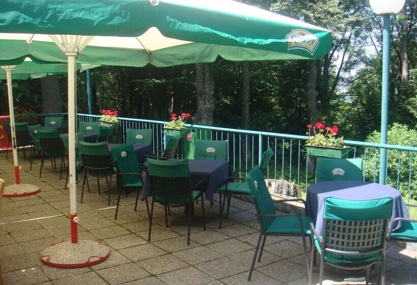 בית מלון כפרי Tomislavov Dom