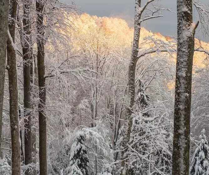 호텔 Tomislavov Dom