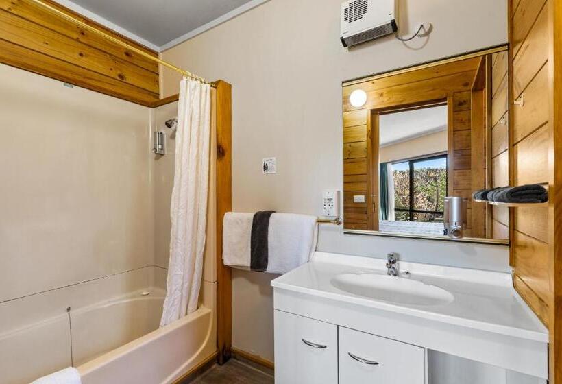 Aspiring Lodge Motel