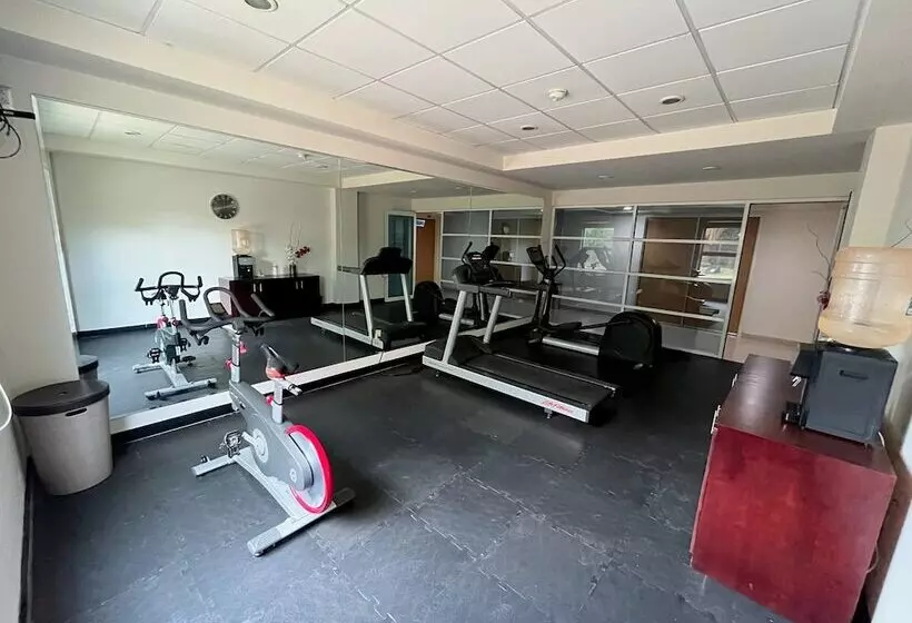 Greenwood Hotel Torreón