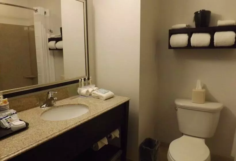 ホテル Holiday Inn Express Pittsburgh   Munhall, An Ihg