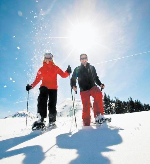 فندق Schloss Thannegg