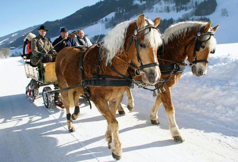 فندق Schloss Thannegg