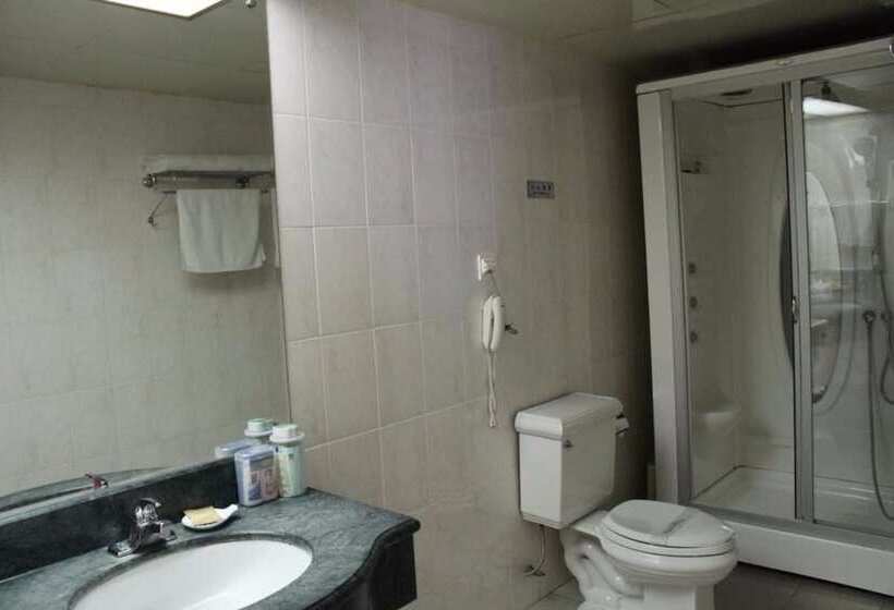 ホテル Shandong Aviation Mansion