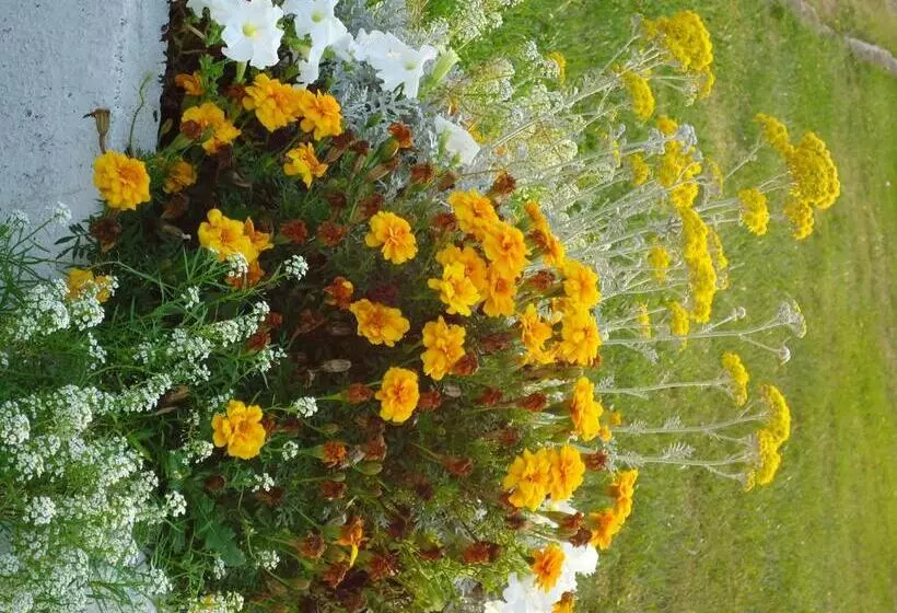 فندق Star Inn By Elevate Rooms