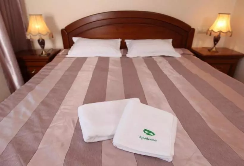 Отель Zabaykalie