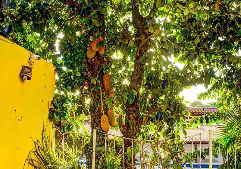 Pension Pousada Portal Da Concha