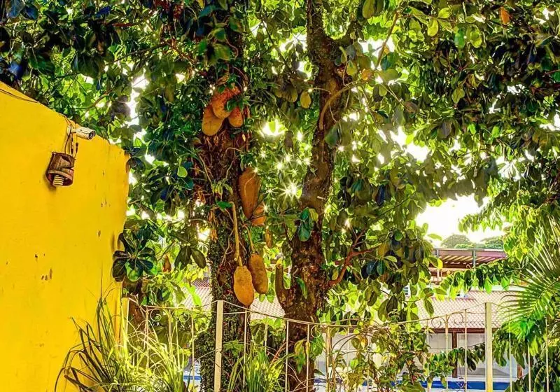 Pensão Pousada Portal Da Concha