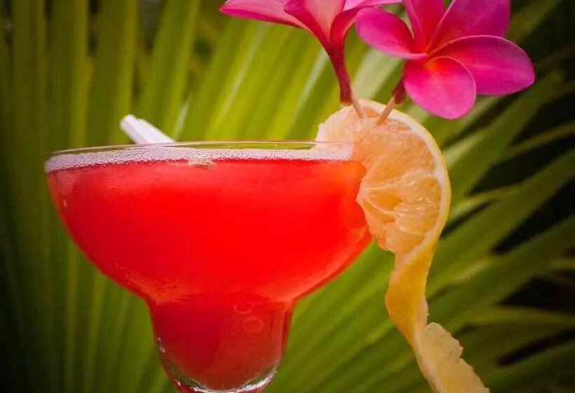 استراحتگاه Orator Hotel Samoa