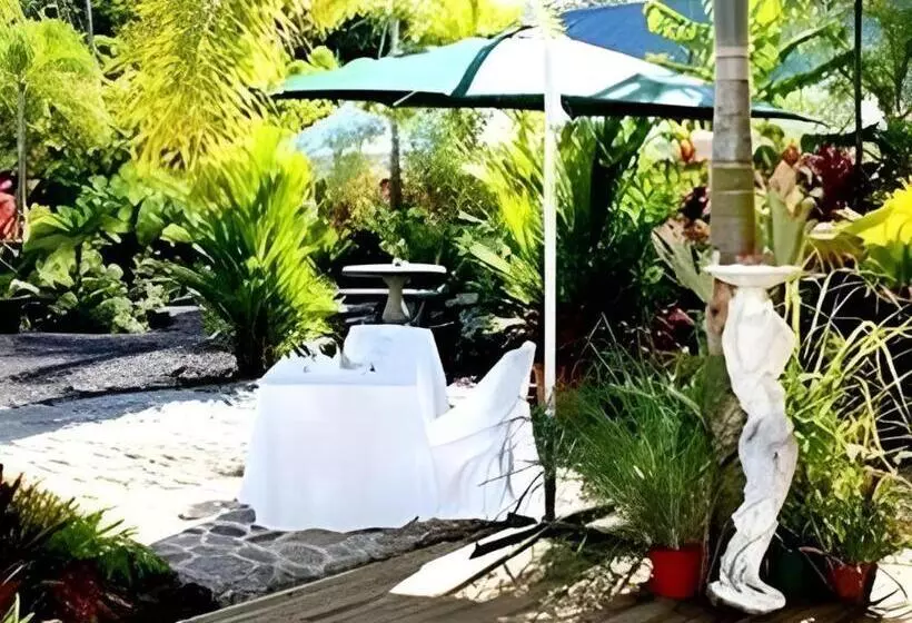 استراحتگاه Orator Hotel Samoa