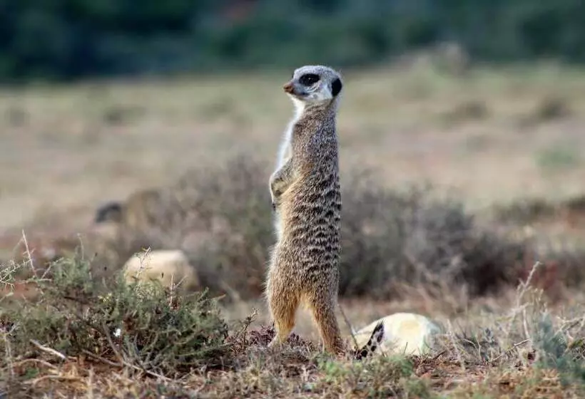 Hostel Lungile Backpackers Lodge