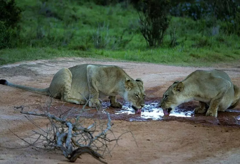 Hostel Lungile Backpackers Lodge