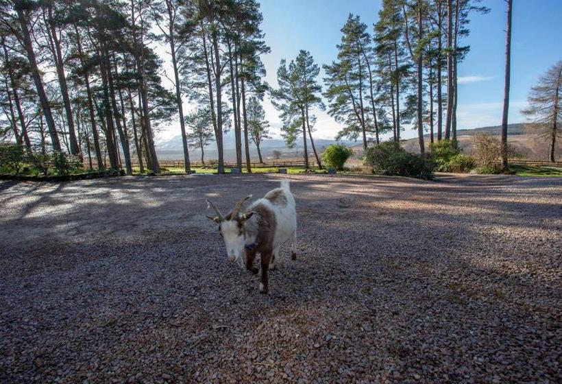 민박 Old Pines Hotel And Restaurant