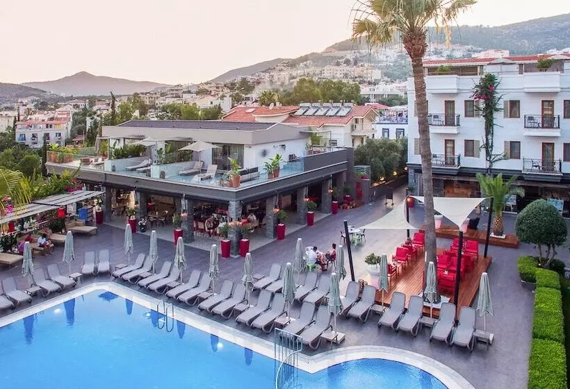 Bed and Breakfast Samira Exclusive Hotel & Apartments