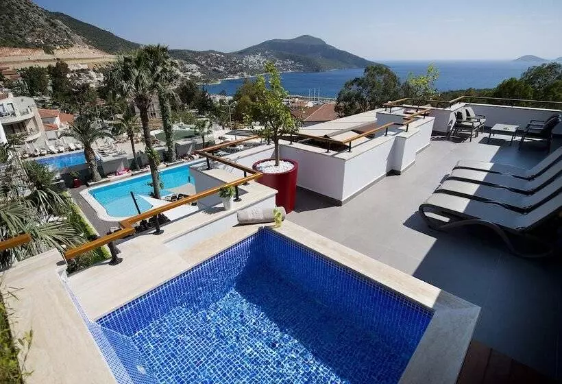 Bed and Breakfast Samira Exclusive Hotel & Apartments