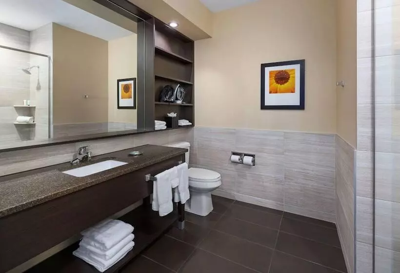 בית מלון כפרי Aerostay